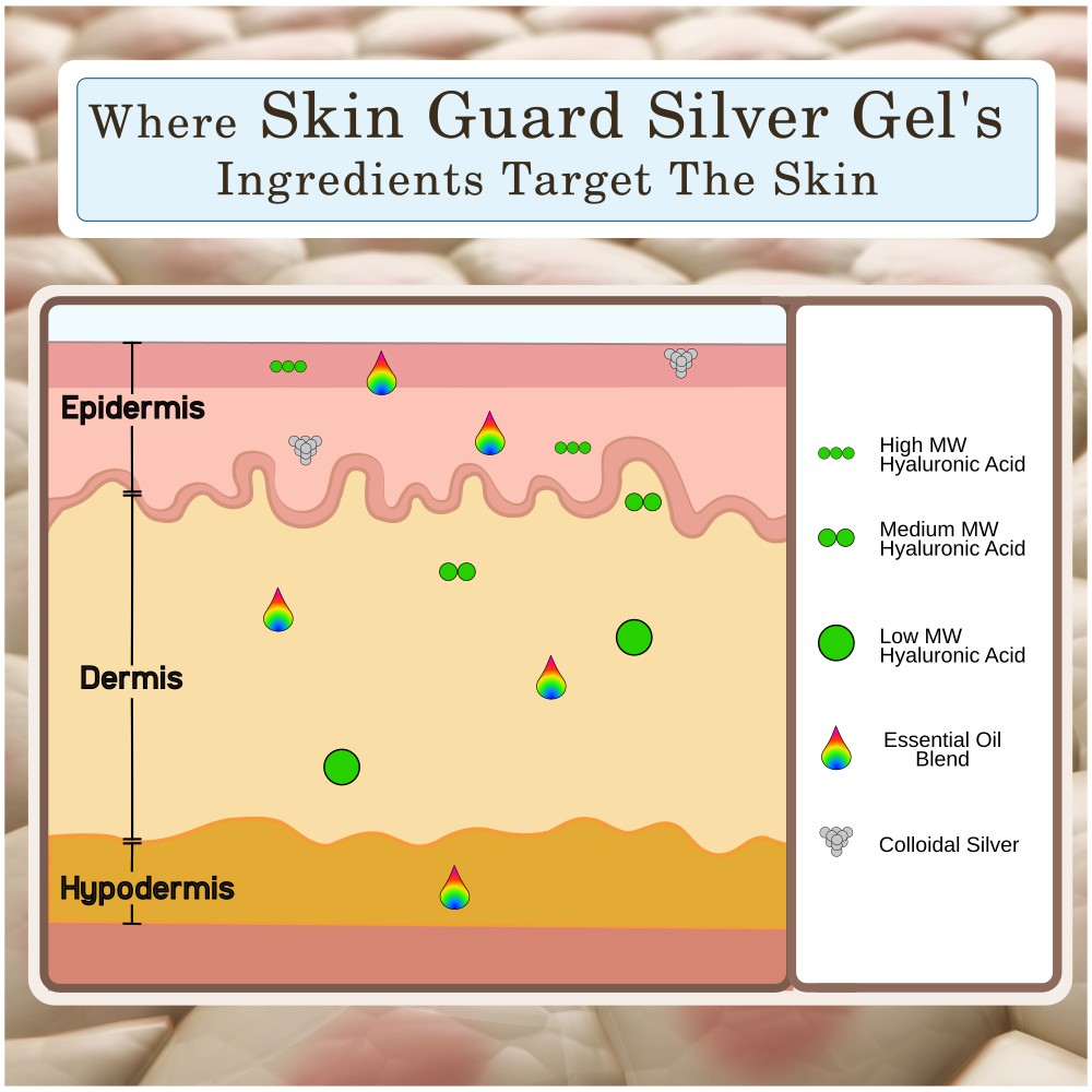 Where Skin Guard Silver Gel Ingredients Target the Skin