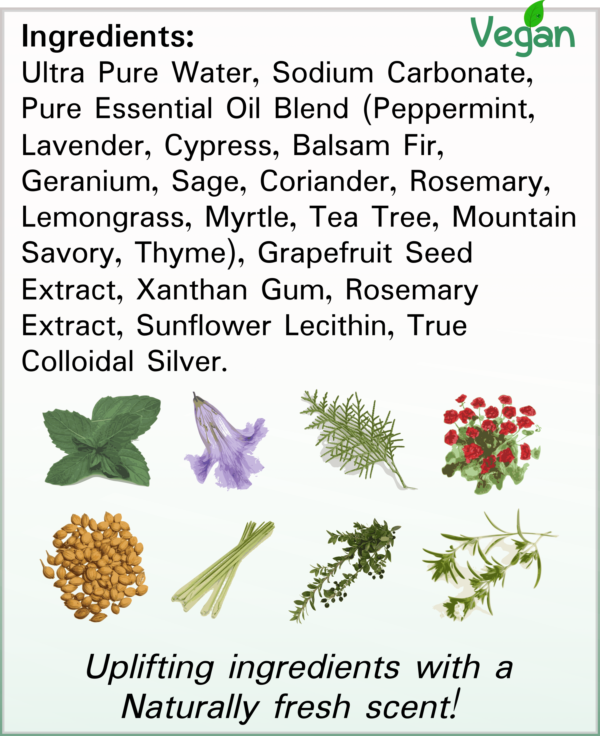 Silver Foot Shield Ingredients